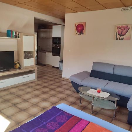 Appartement Am Waldesrand Gifhorn Ngoại thất bức ảnh