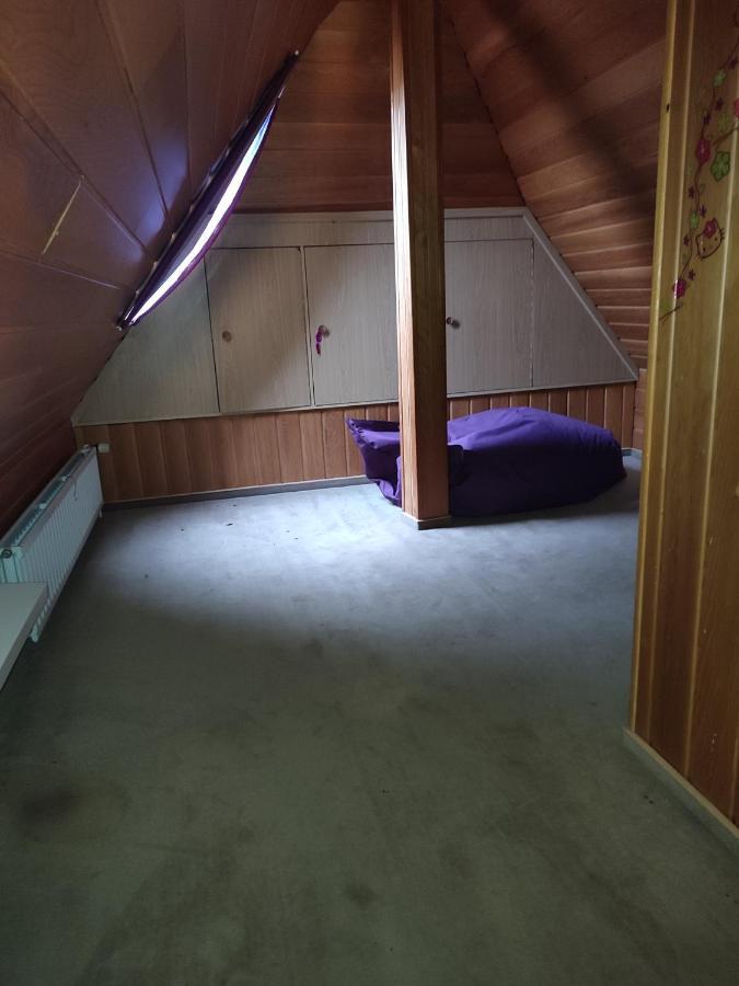 Appartement Am Waldesrand Gifhorn Ngoại thất bức ảnh